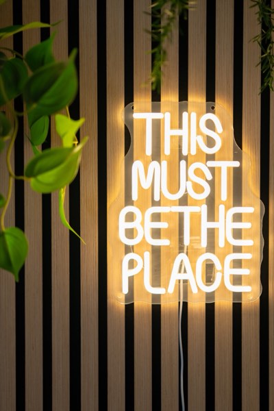 'This must be the place' neon sign on the studio's wooden wall